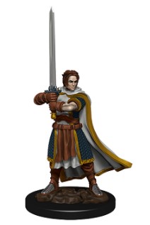 Pathfinder Battles Human Male Cleric Premium Pre-Painted